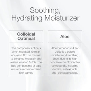 CLn Body Moisturizer