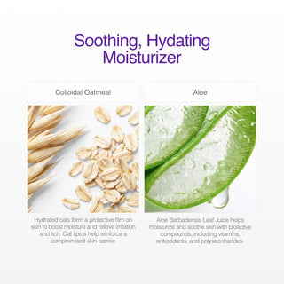 CLn Body Moisturizer Shop All Products CLn Skin Care 